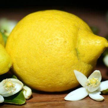„Kennst du das Land, wo die Zitronen blühn ?“