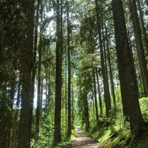 Nachtwanderung für Männer @ St. Monika | Stuttgart | Baden-Württemberg | Deutschland