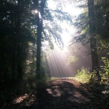 Impulsreferat: Auswege aus Angst, Verunsicherung und Depression in St. Theresia