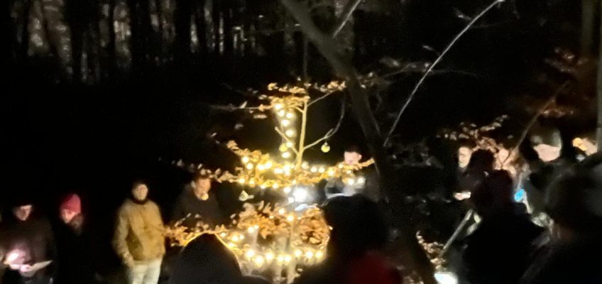 Geschmückte Tanne im Wald