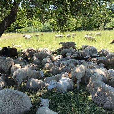 Gebet des Monats März 2026