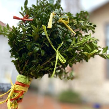 Mit Jesus nach Jerusalem!